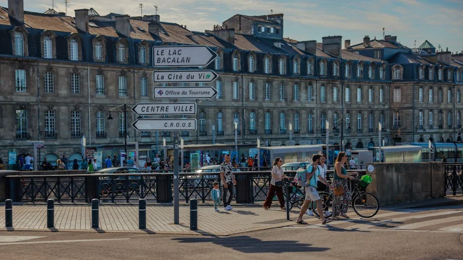 Les bases du référencement naturel pour les débutants à Tanger